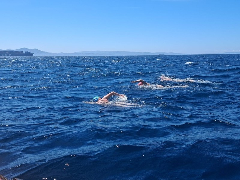 Crossing the Strait of Gibraltar:       A Marathon Swimmer’s&nbsp;Journey